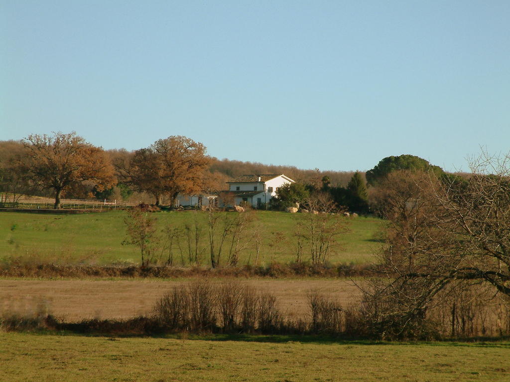 Agriturismo Il Poggio Vetralla Exterior photo