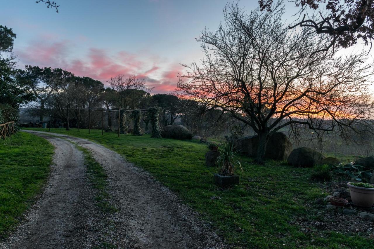 Agriturismo Il Poggio Vetralla Exterior photo