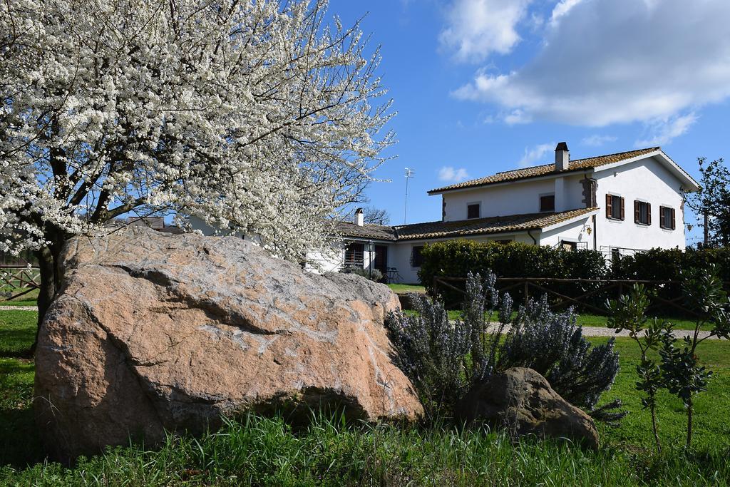 Agriturismo Il Poggio Vetralla Exterior photo